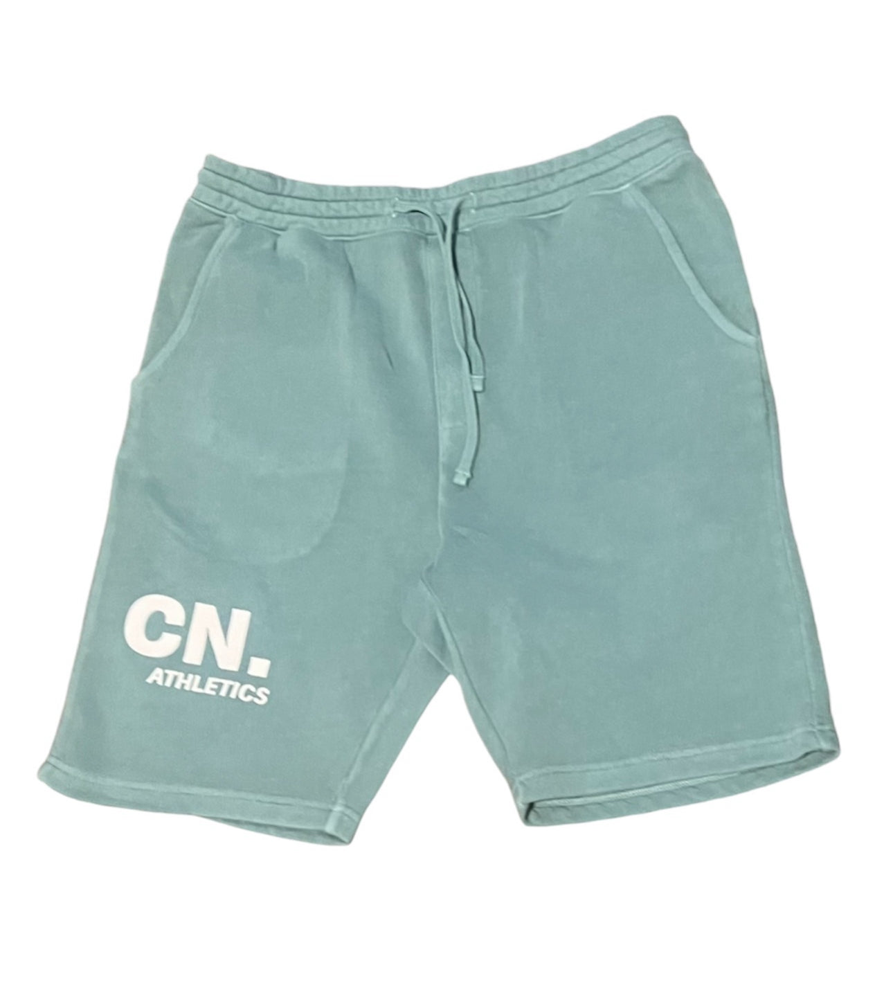 Christopher Nicole mint green shorts