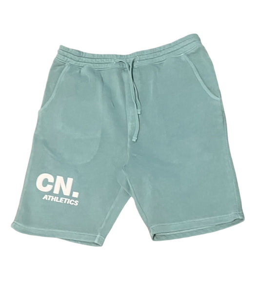 Christopher Nicole mint green shorts
